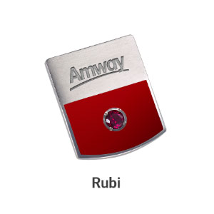 pin rubi